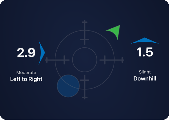 clear swing iq image
